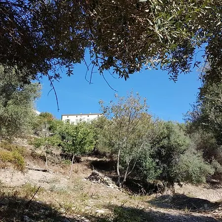 De Charme Dans Maison Fin Xixeme Apartmán