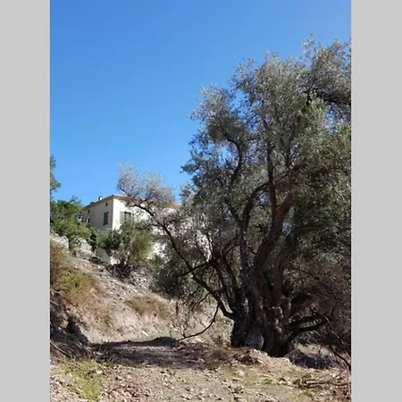 De Charme Dans Maison Fin Xixeme Santo-Pietro-di-Tenda